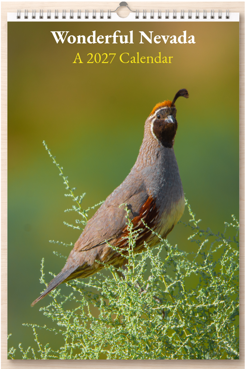 Wonderful Nevada: A 2027 Calendar