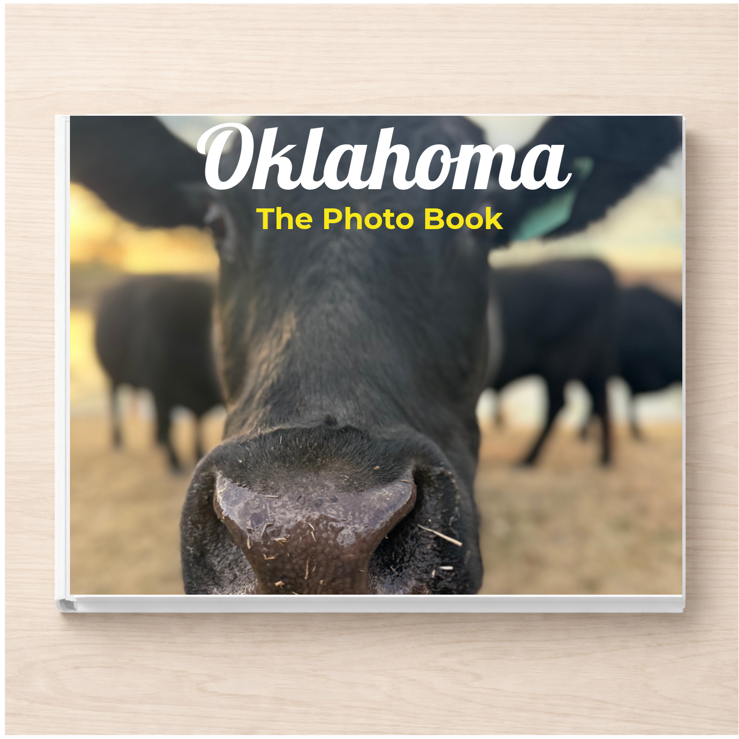 Oklahoma: The Photo Book