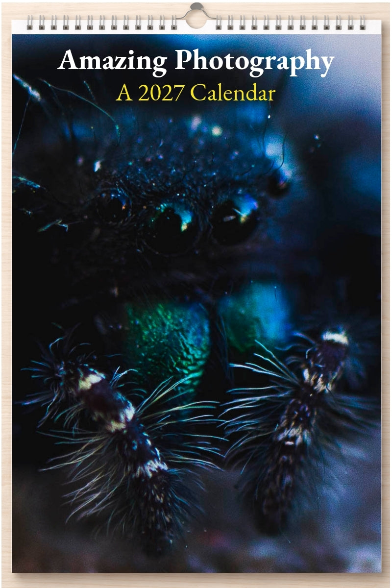 Amazing Photography: A 2027 Calendar