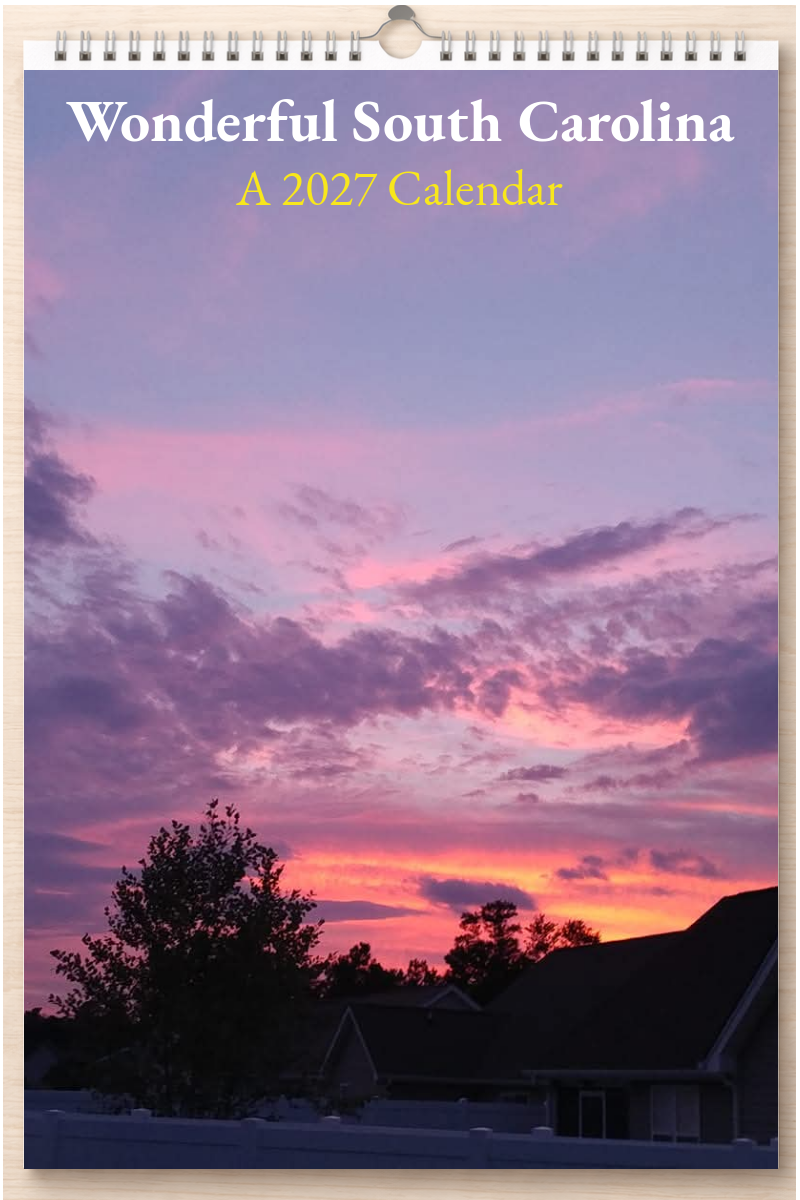 Wonderful South Carolina: A 2027 Calendar