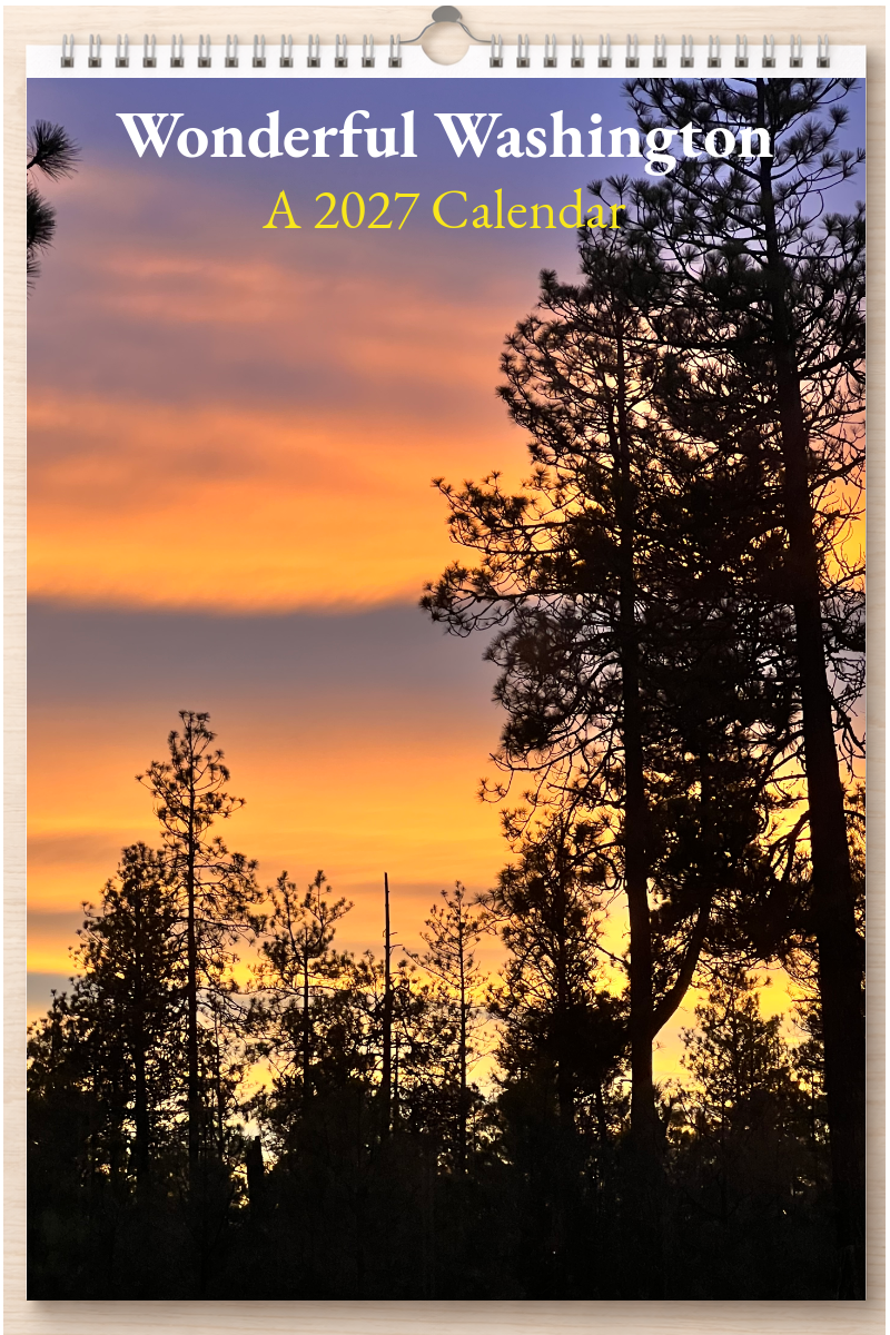 Wonderful Washington: A 2027 Calendar