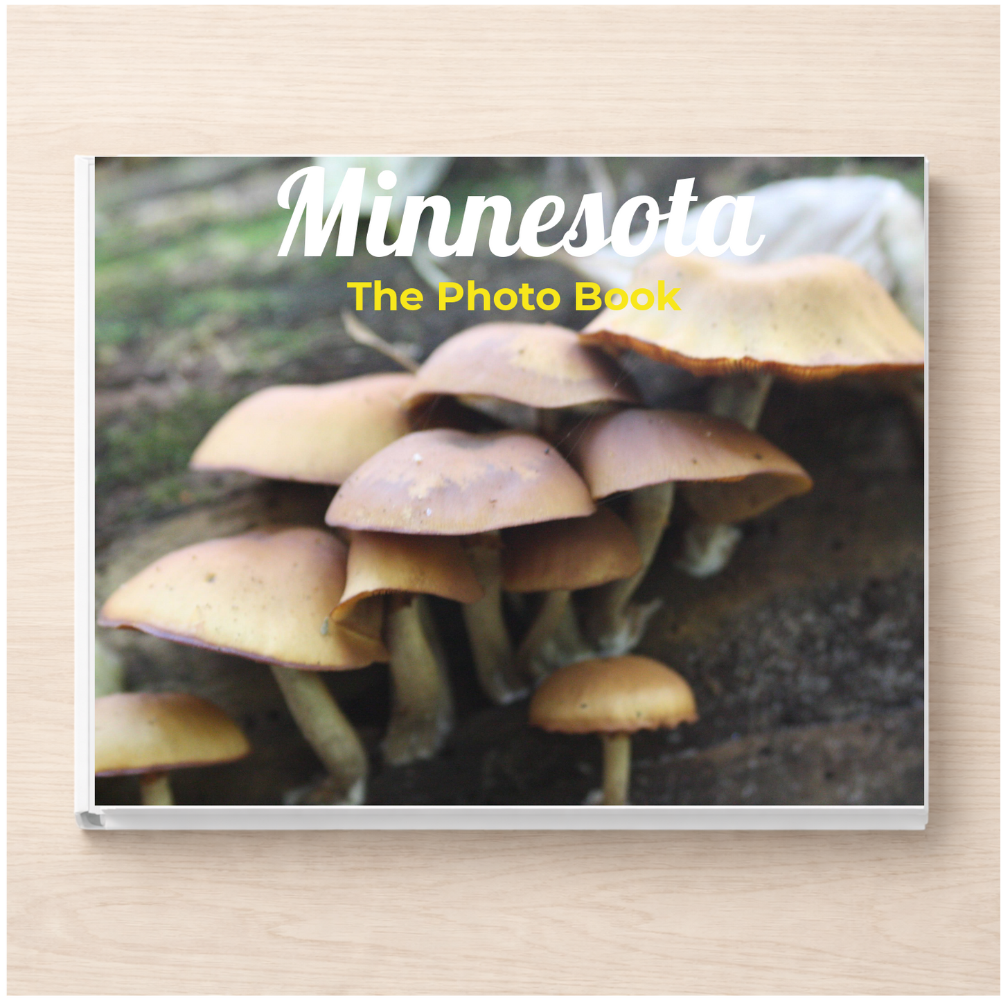 Minnesota: The Photo Book