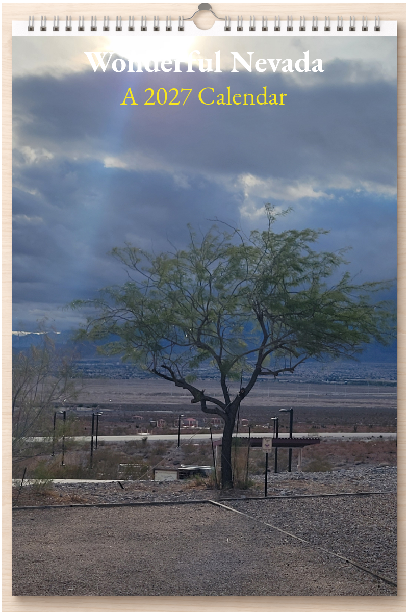 Wonderful Nevada: A 2027 Calendar