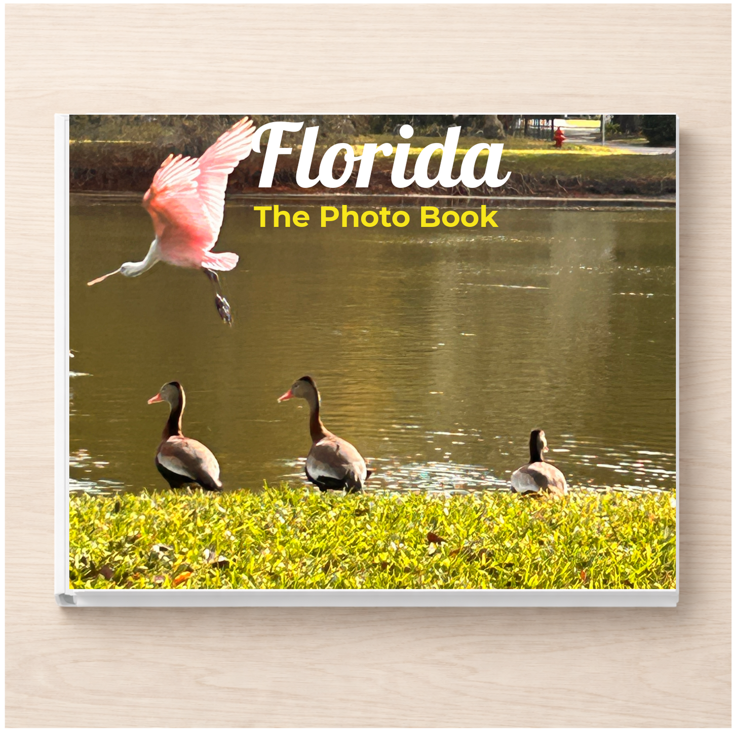 Florida: The Photo Book