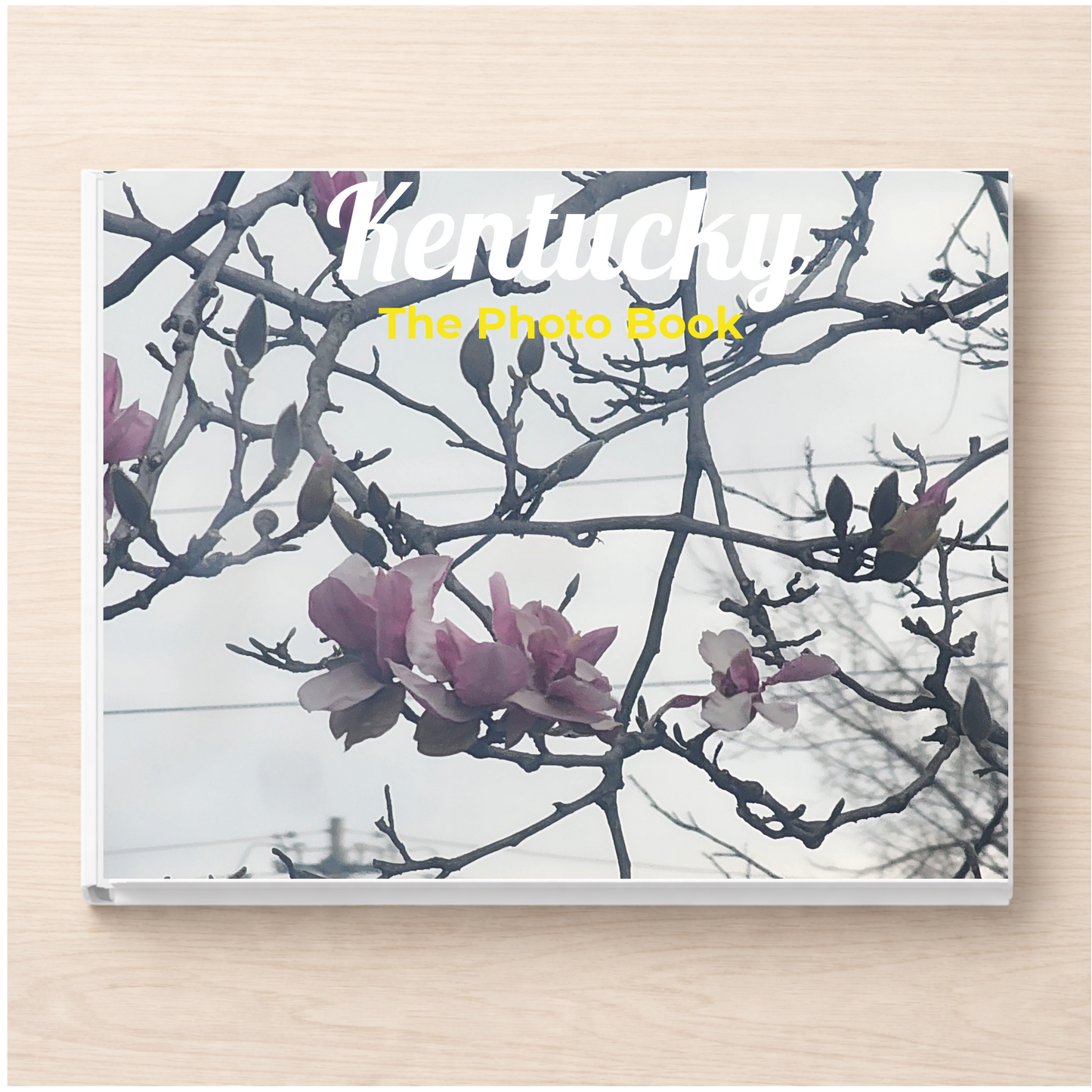 Kentucky: The Photo Book