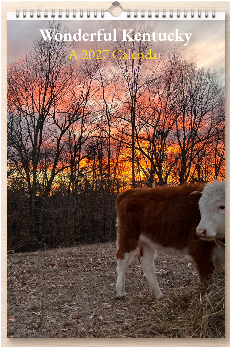 Wonderful Kentucky: A 2027 Calendar