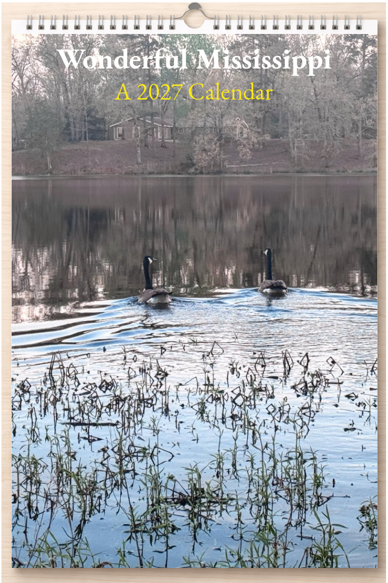 Wonderful Mississippi: A 2027 Calendar