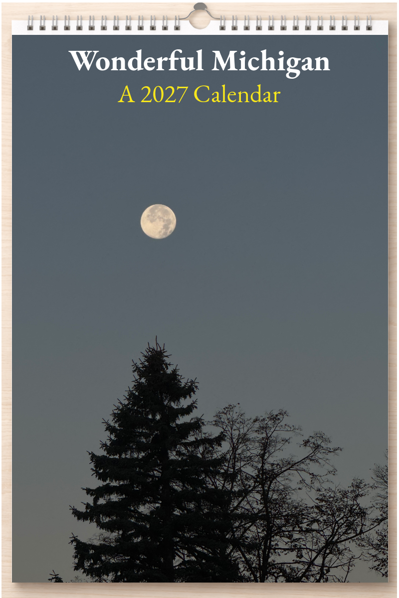 Wonderful Michigan: A 2027 Calendar