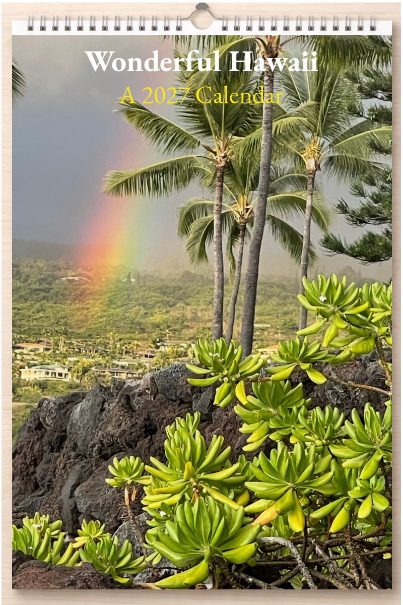 Wonderful Hawaii: A 2027 Calendar