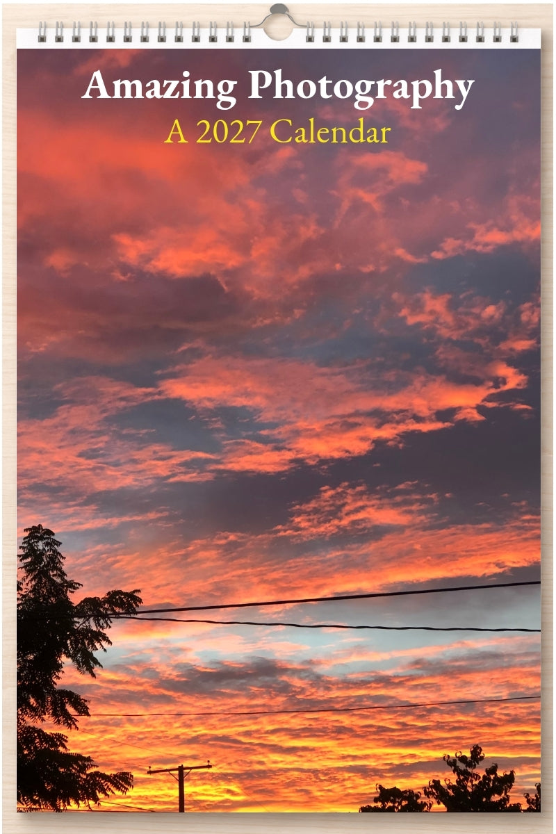 Amazing Photography: A 2027 Calendar