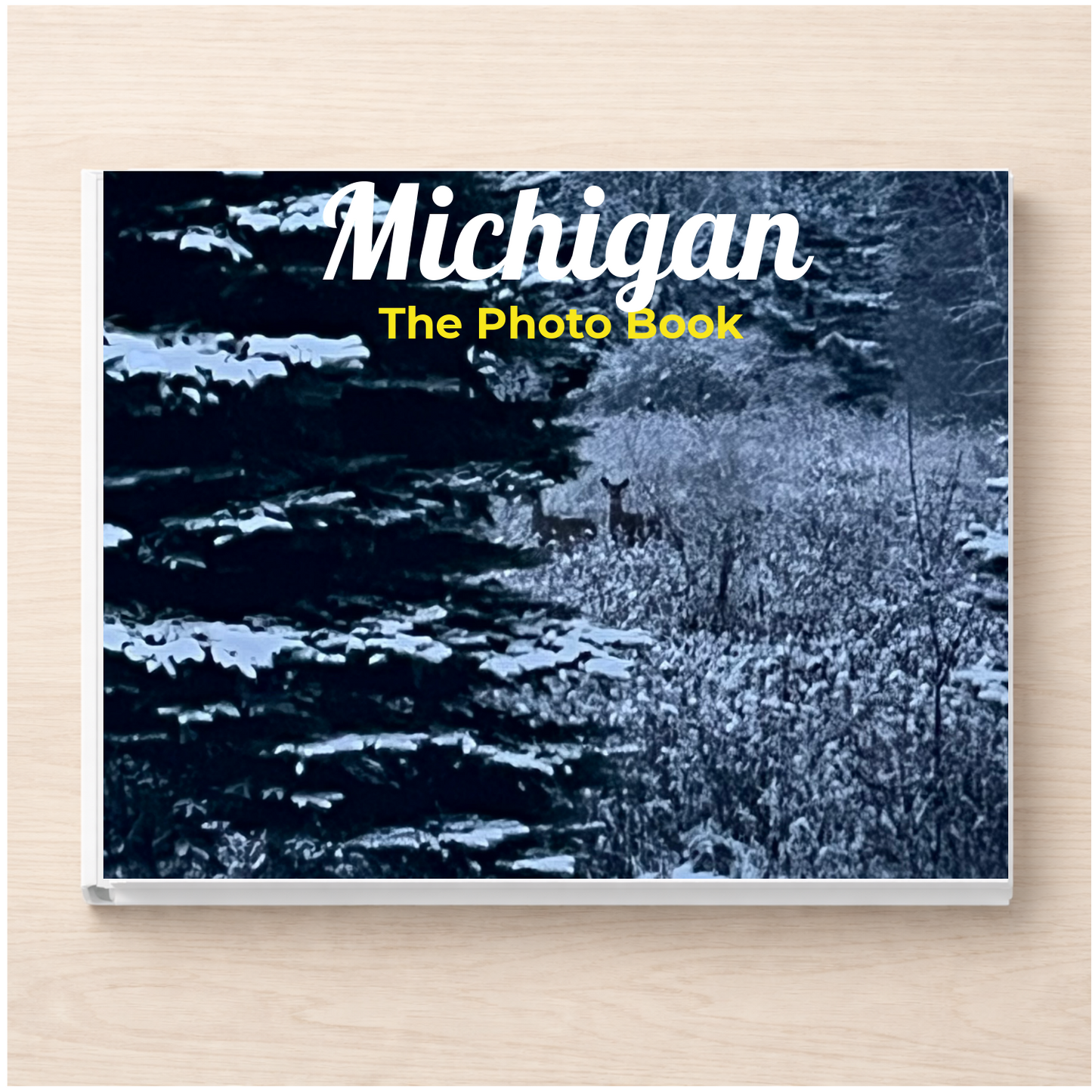 Michigan: The Photo Book