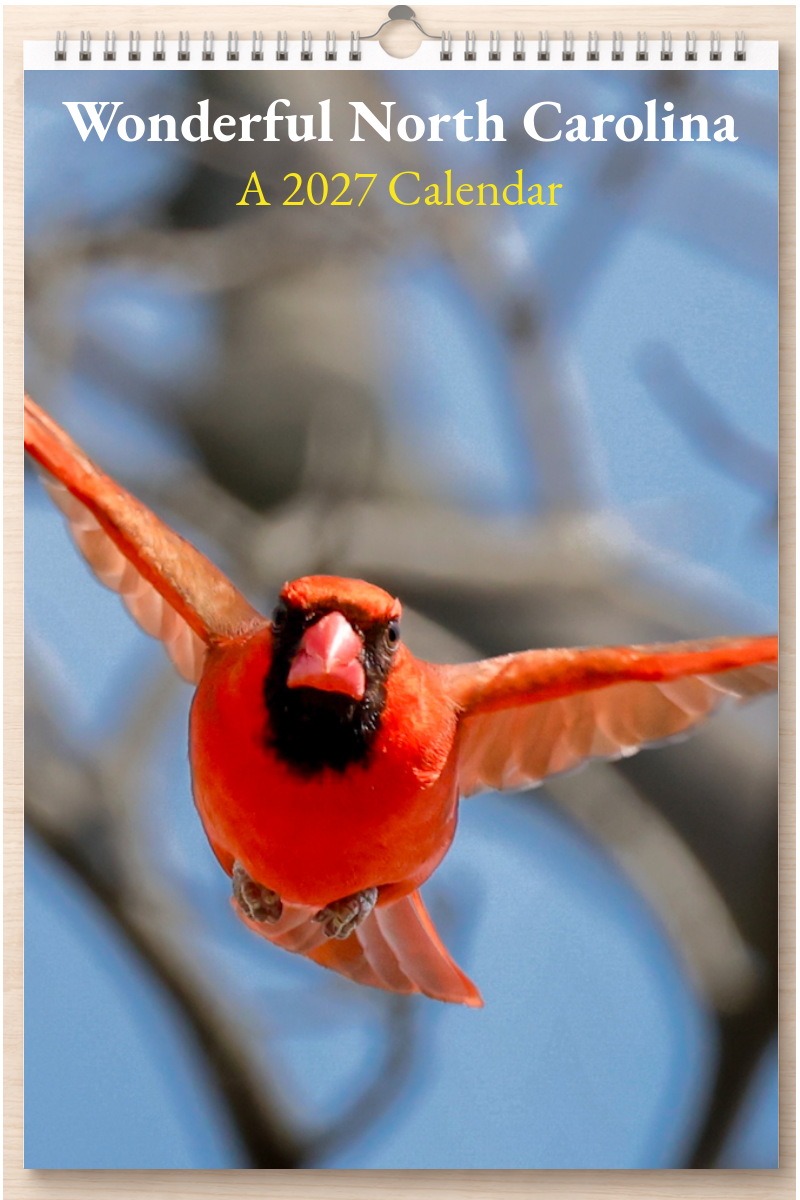 Wonderful North Carolina: A 2027 Calendar