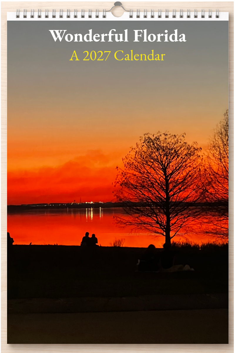 Wonderful Florida: A 2027 Calendar