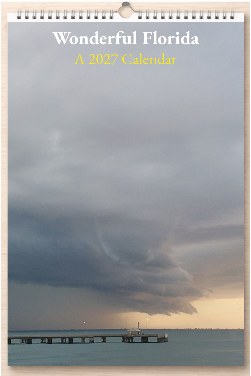 Wonderful Florida: A 2027 Calendar