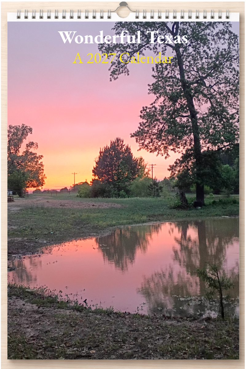 Wonderful Texas: A 2027 Calendar