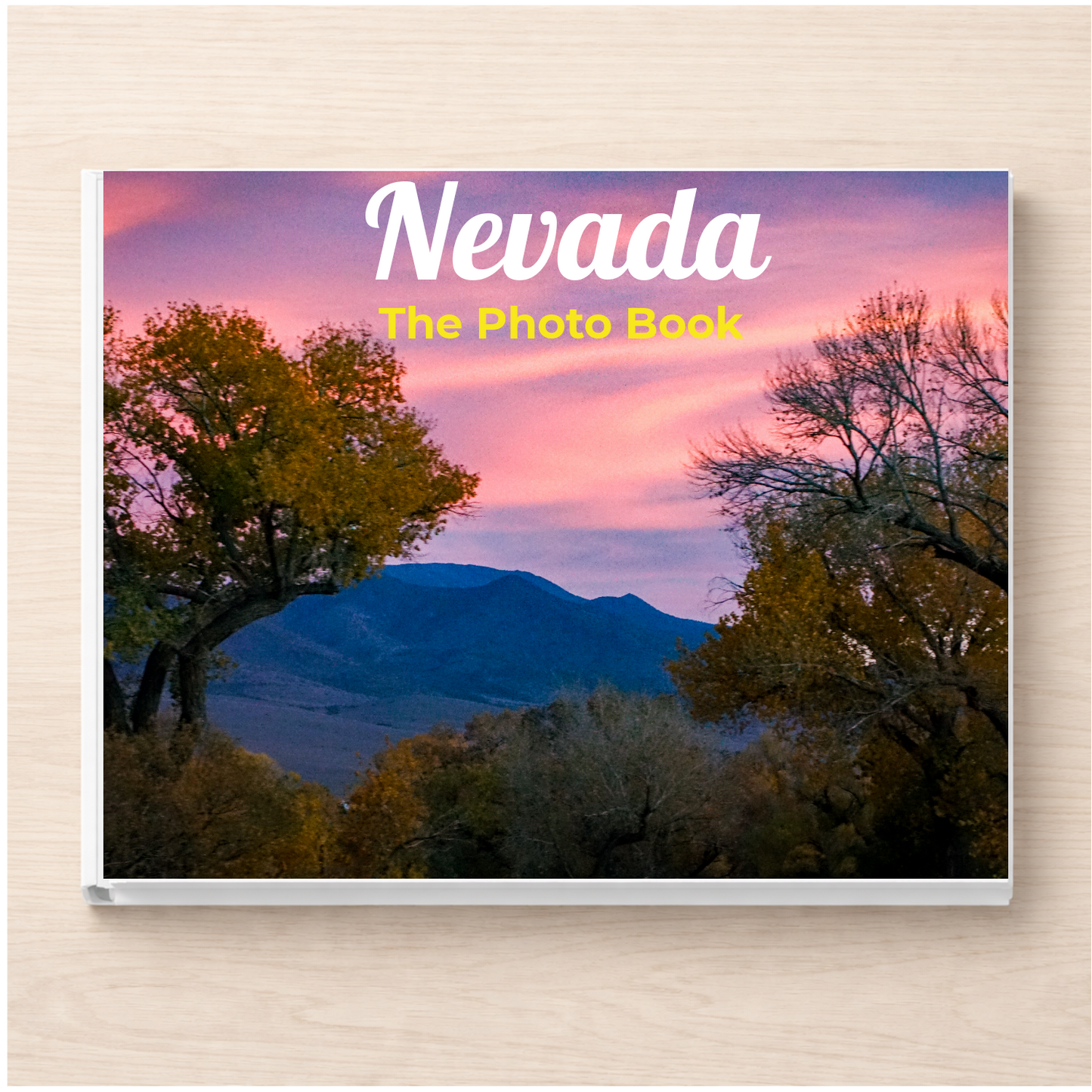Nevada: The Photo Book