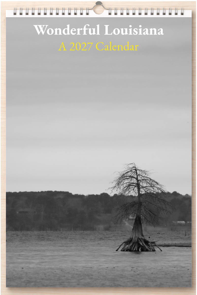 Wonderful Louisiana: A 2027 Calendar