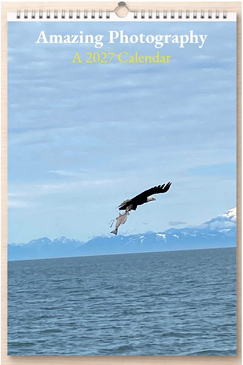 Amazing Photography: A 2027 Calendar