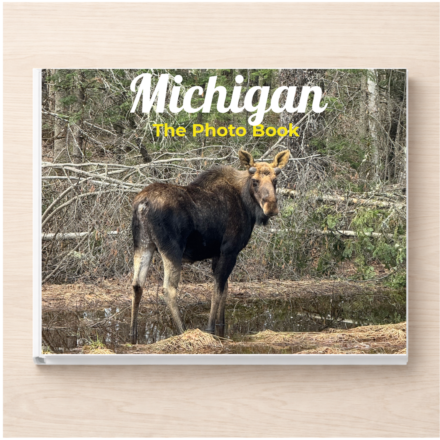 Michigan: The Photo Book