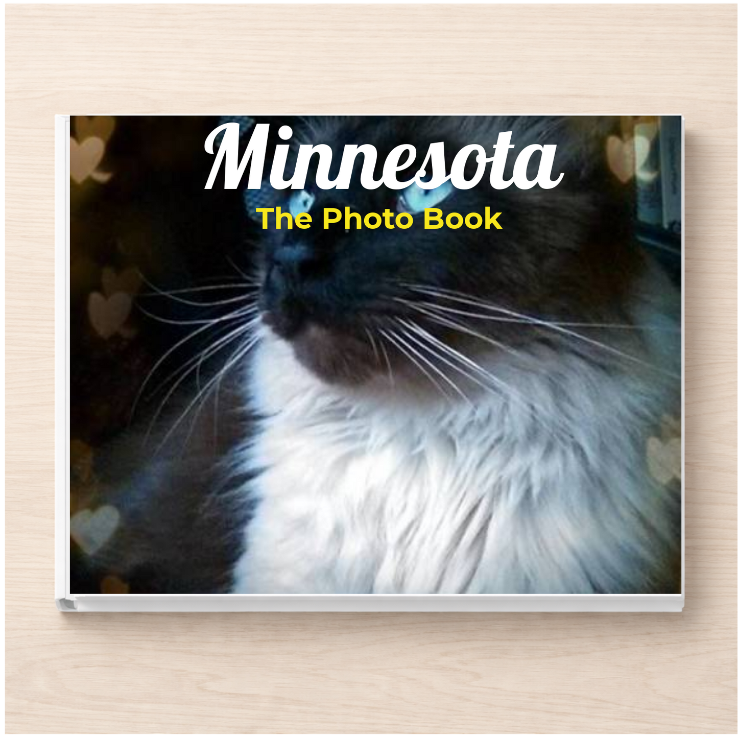 Minnesota: The Photo Book