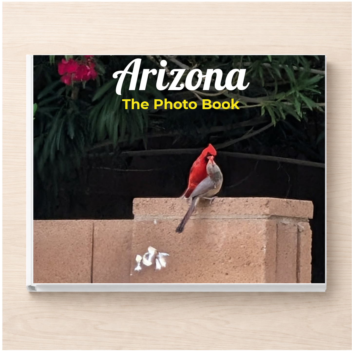 Arizona: The Photo Book