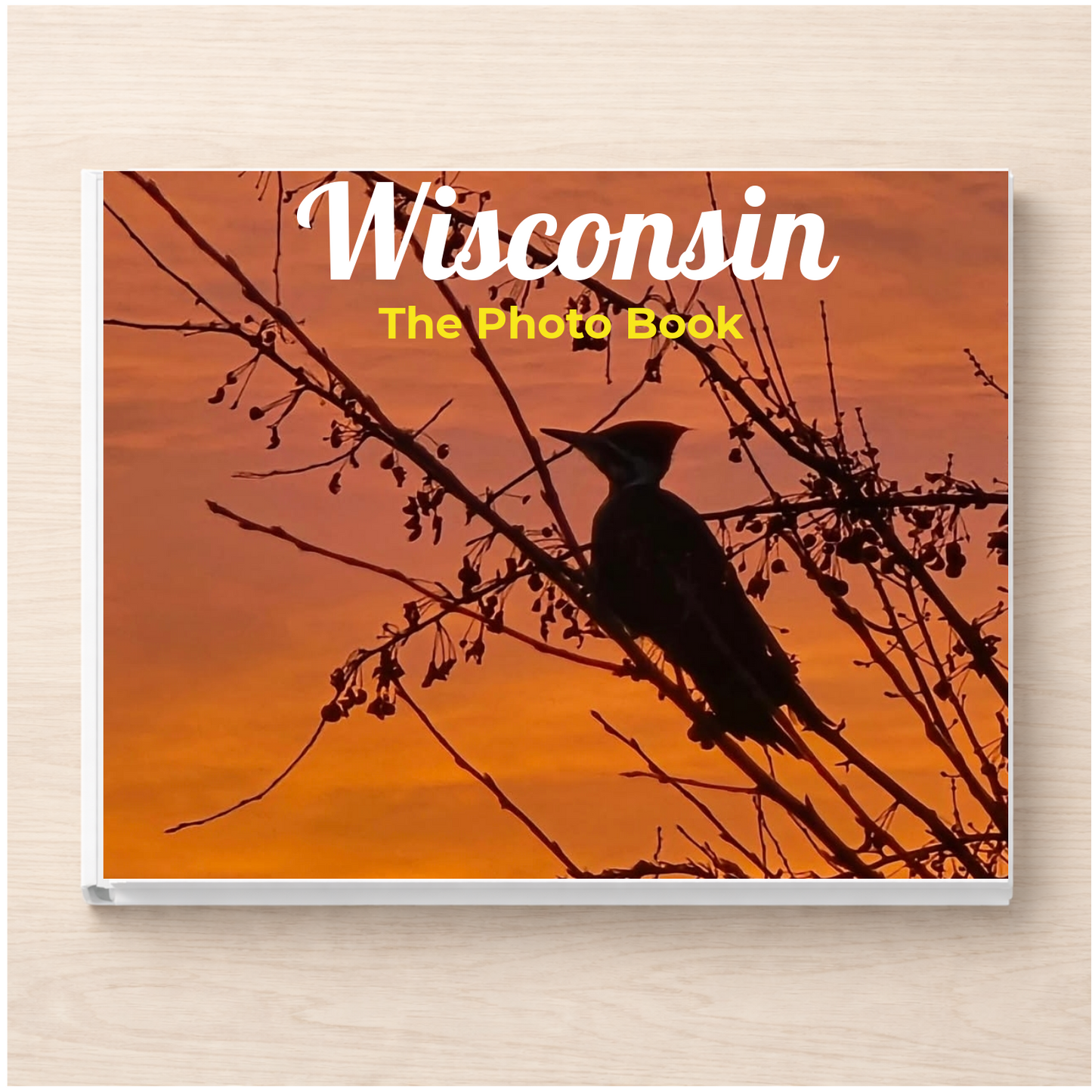 Wisconsin: The Photo Book