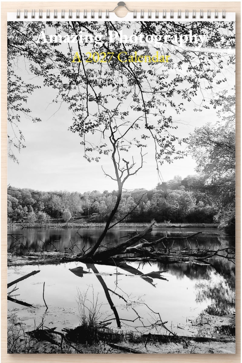 Amazing Photography: A 2027 Calendar