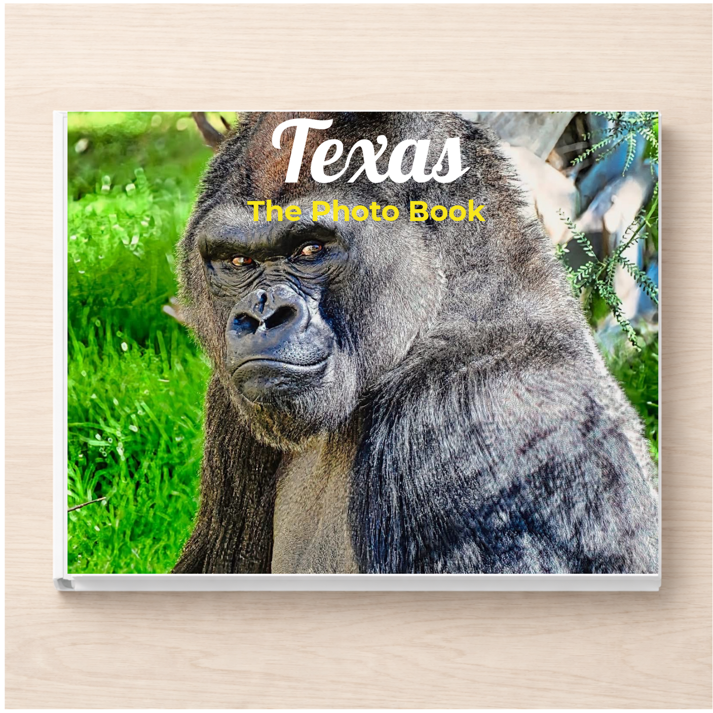 Texas: The Photo Book