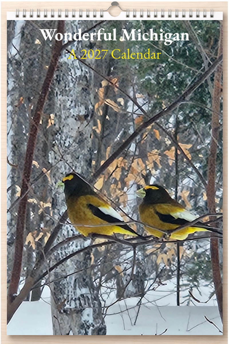 Wonderful Michigan: A 2027 Calendar