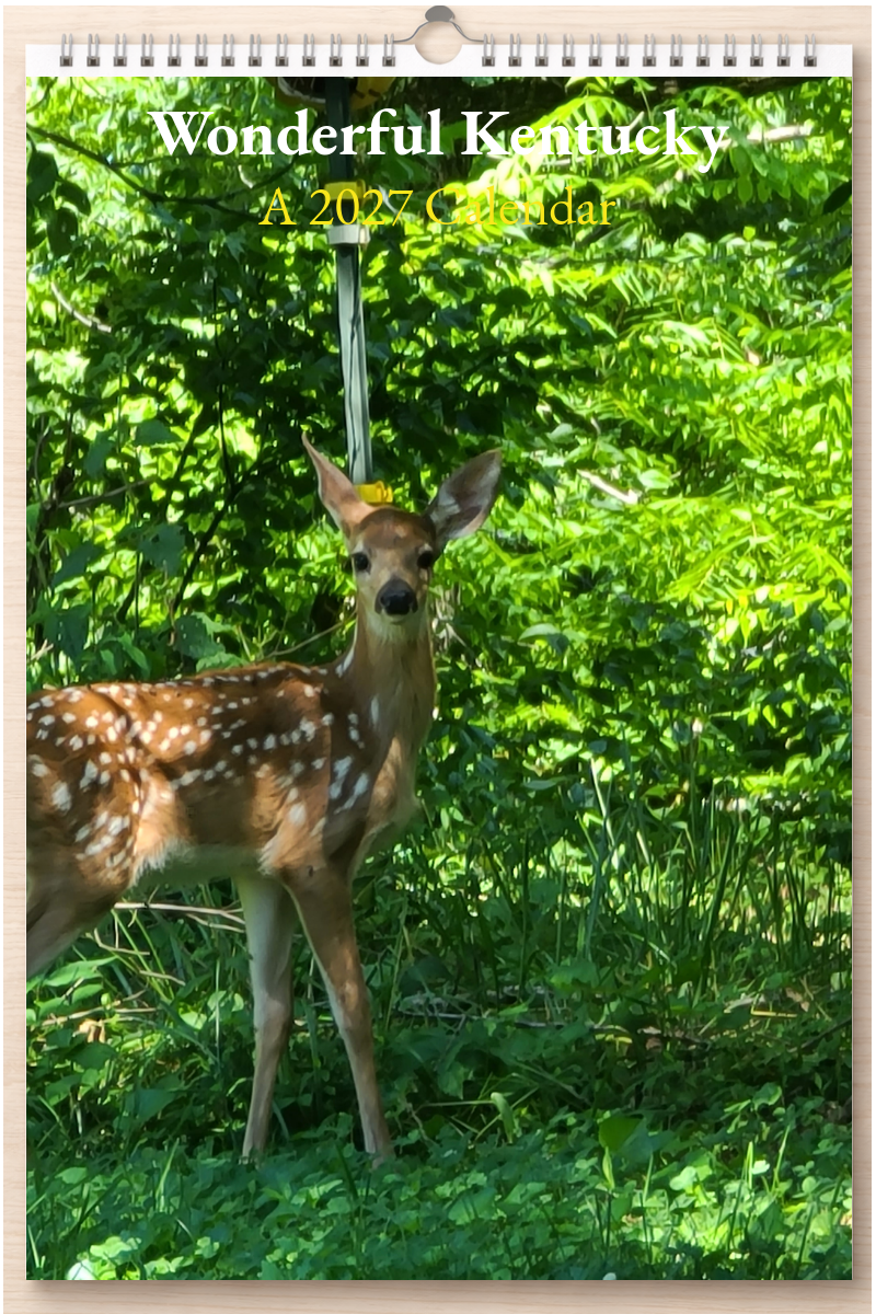Wonderful Kentucky: A 2027 Calendar