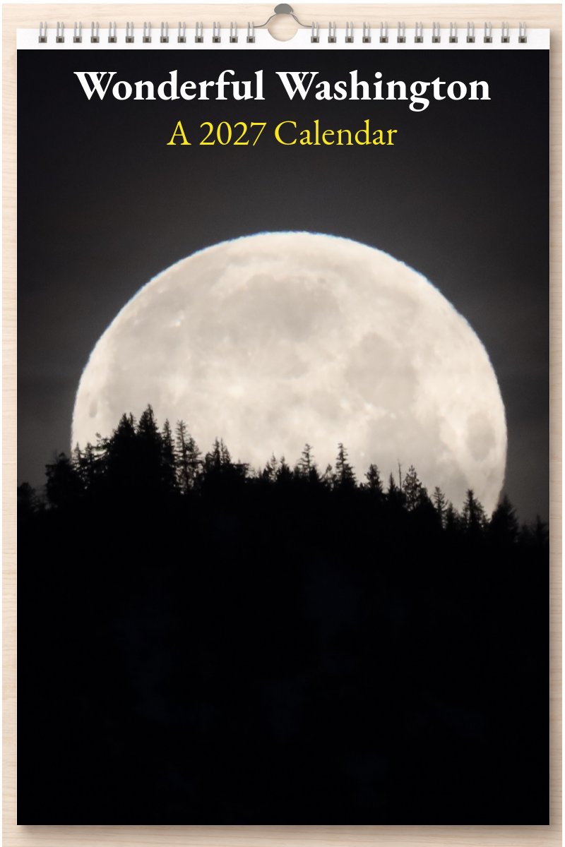 Wonderful Washington: A 2027 Calendar