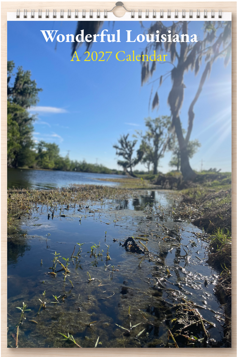 Wonderful Louisiana: A 2027 Calendar