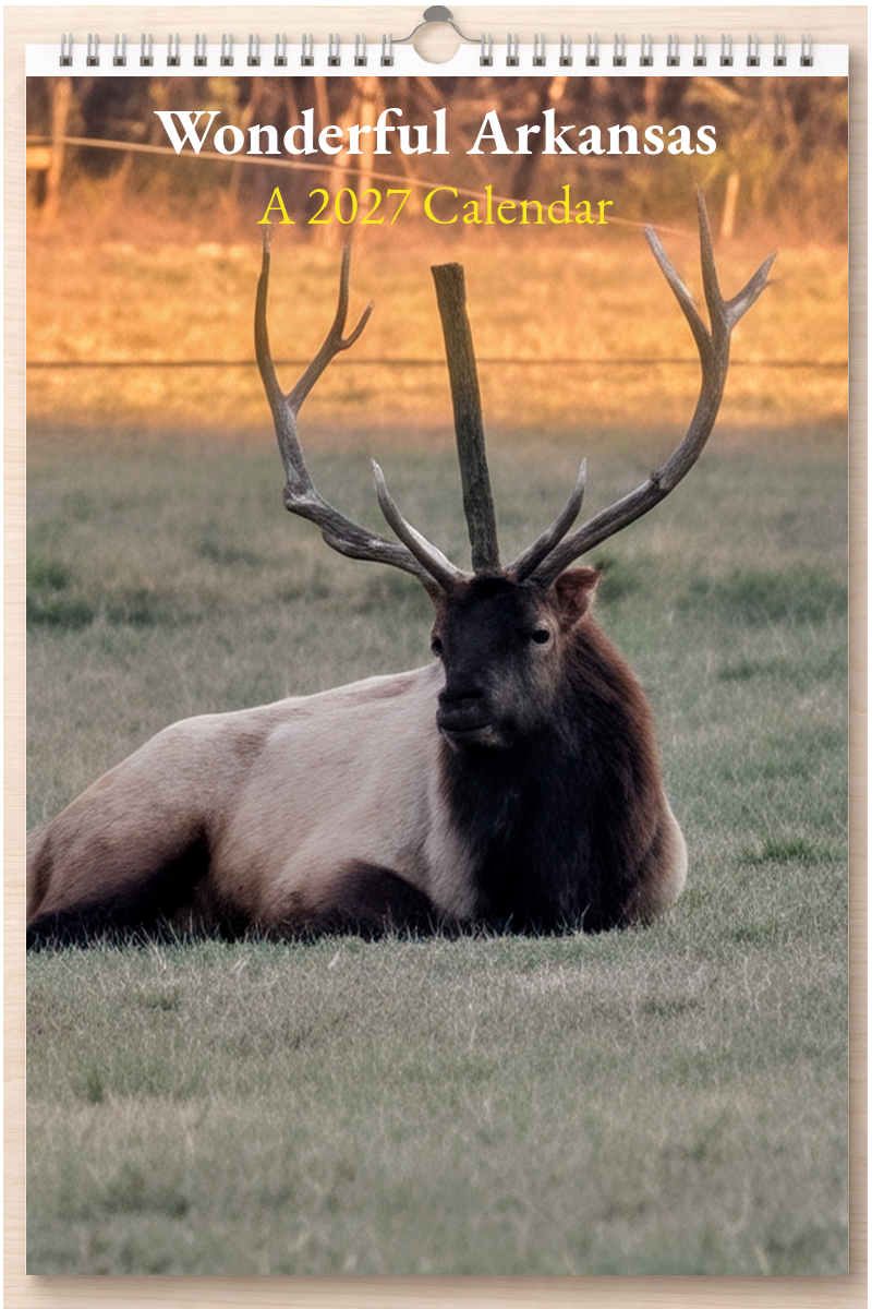 Wonderful Arkansas: A 2027 Calendar