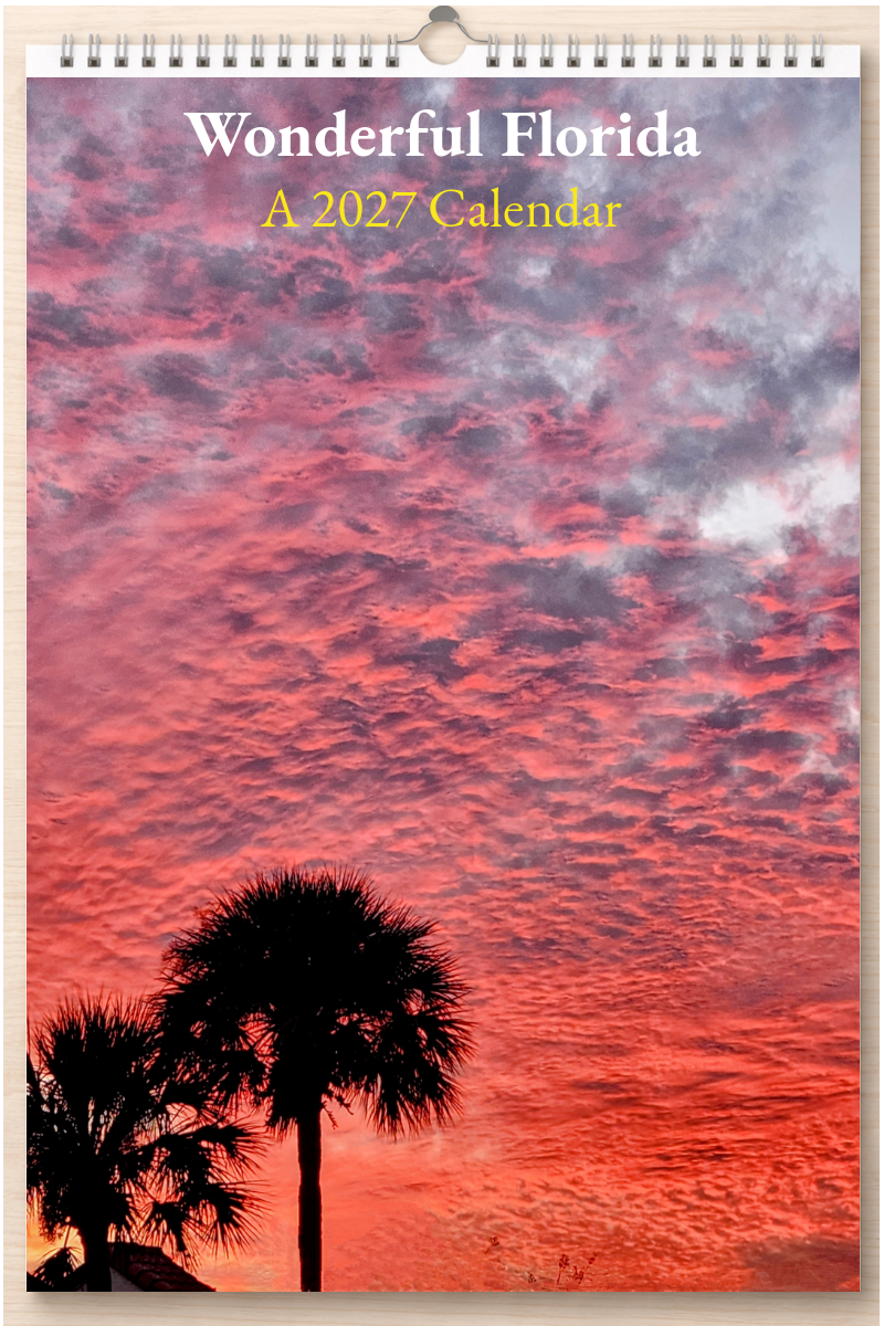 Wonderful Florida: A 2027 Calendar
