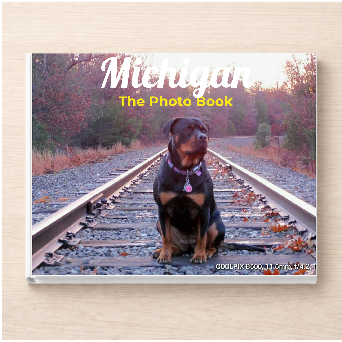 Michigan: The Photo Book