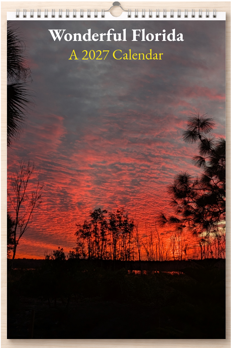 Wonderful Florida: A 2027 Calendar