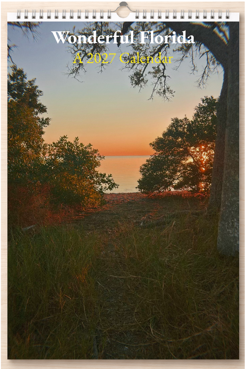 Wonderful Florida: A 2027 Calendar