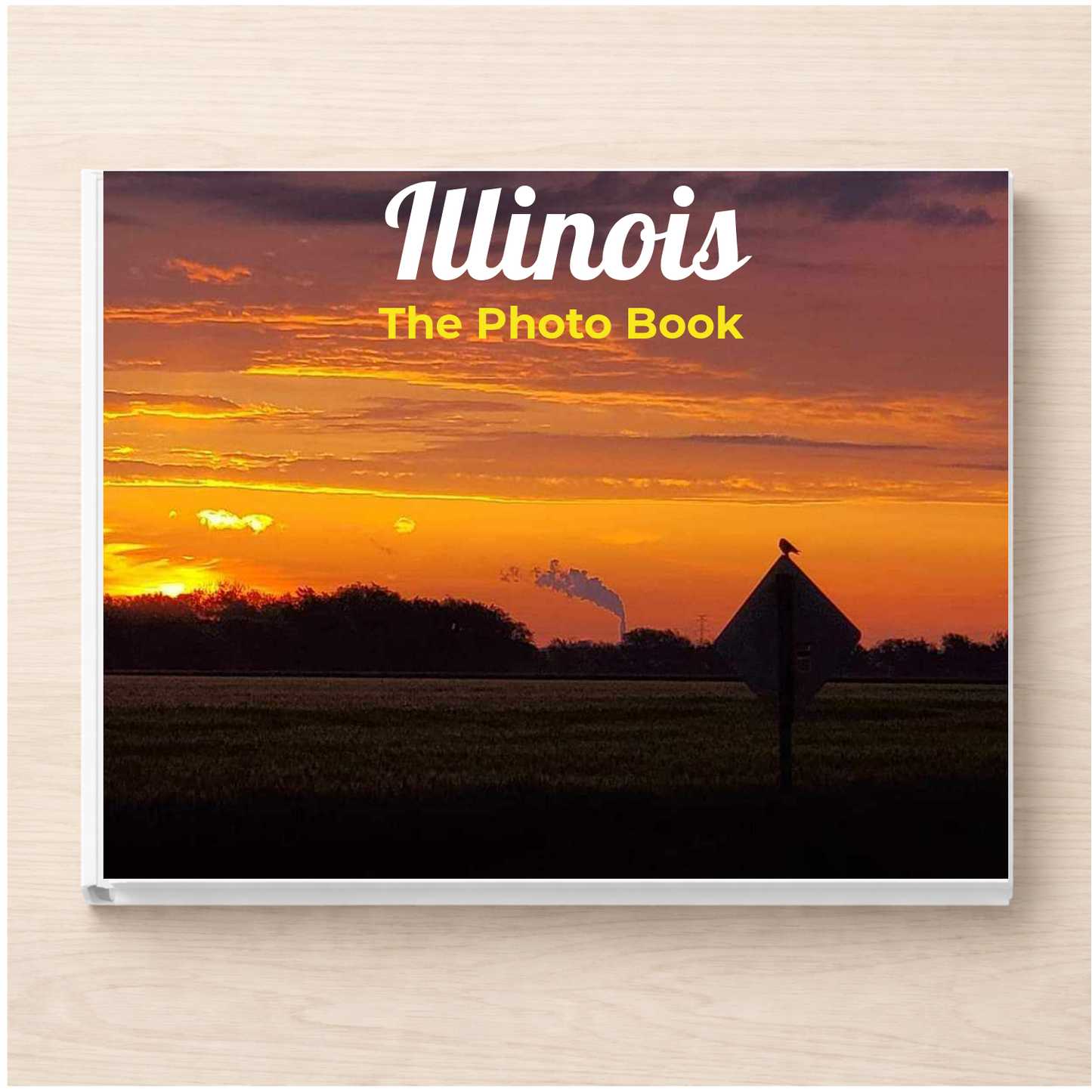 Illinois: The Photo Book