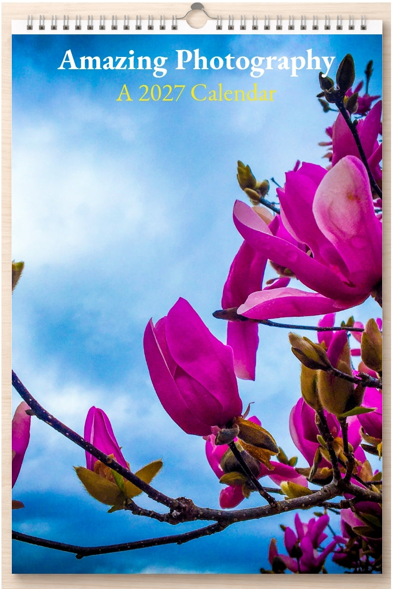 Amazing Photography: A 2027 Calendar