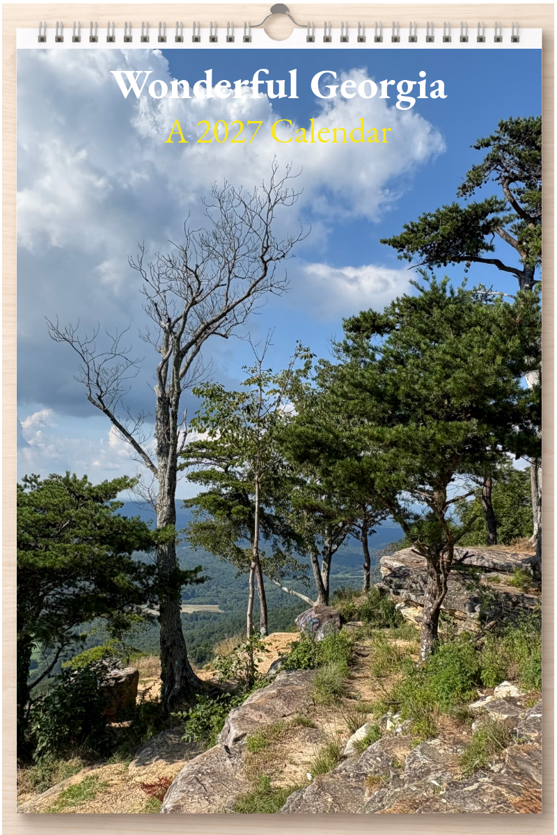 Wonderful Georgia: A 2027 Calendar