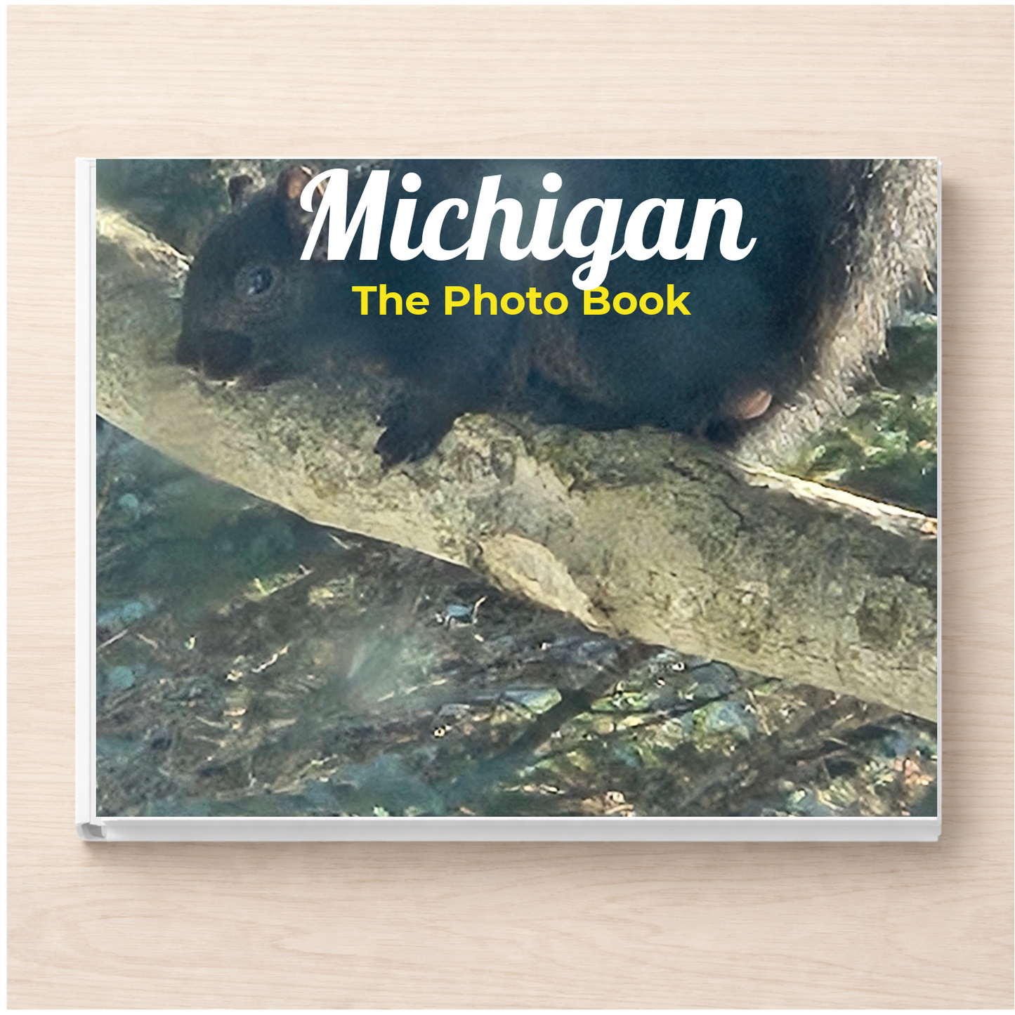 Michigan: The Photo Book