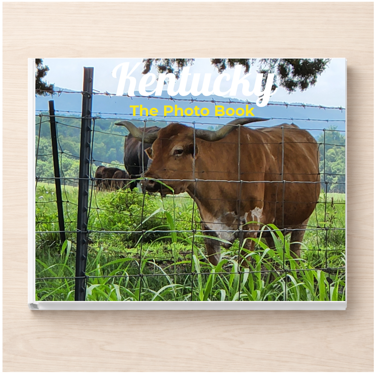 Kentucky: The Photo Book