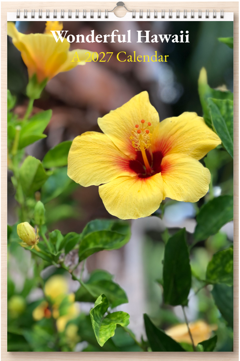 Wonderful Hawaii: A 2027 Calendar