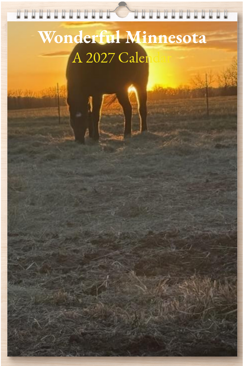 Wonderful Minnesota: A 2027 Calendar