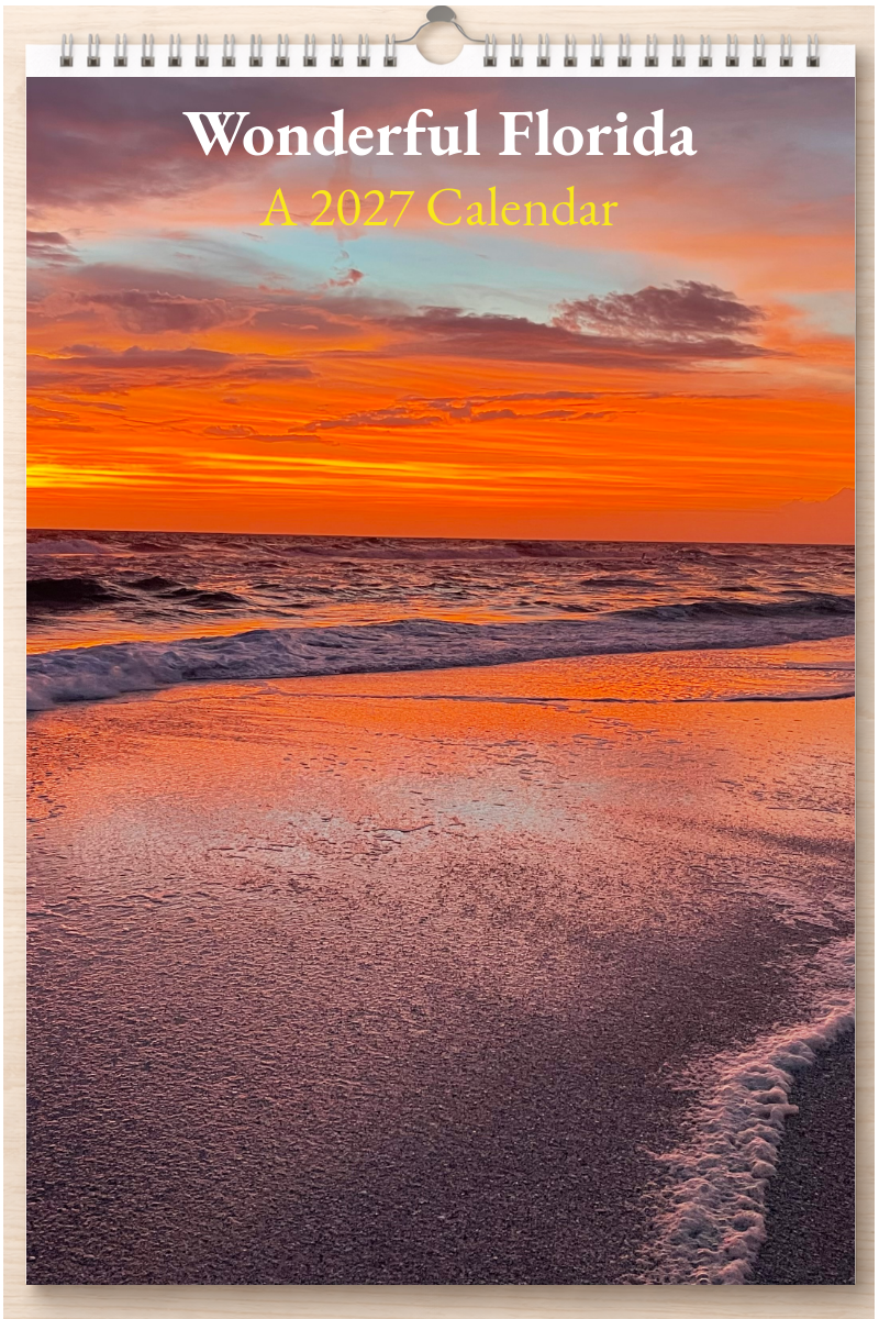 Wonderful Florida: A 2027 Calendar