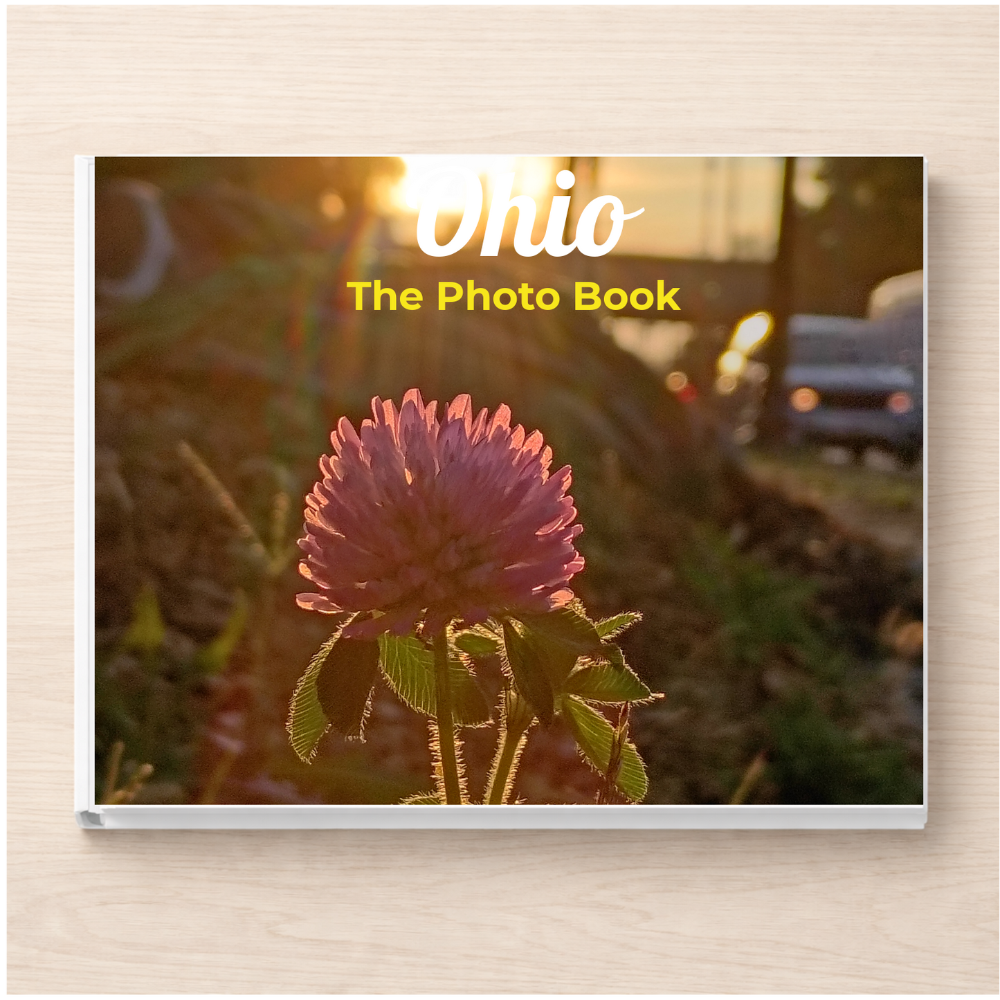 Ohio: The Photo Book