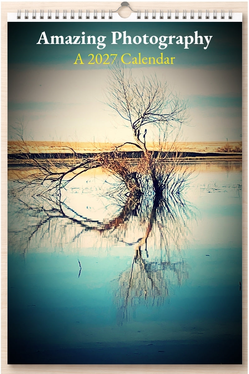 Amazing Photography: A 2027 Calendar