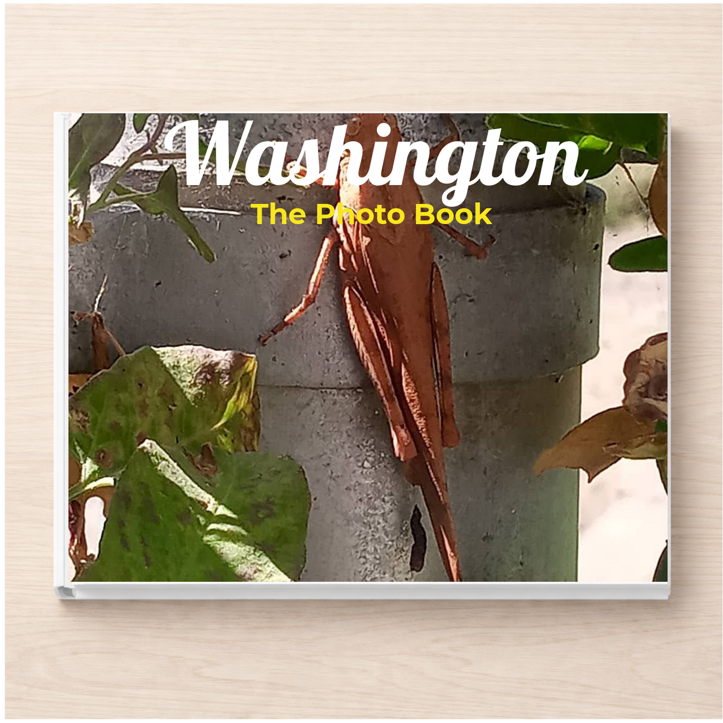 Washington: The Photo Book