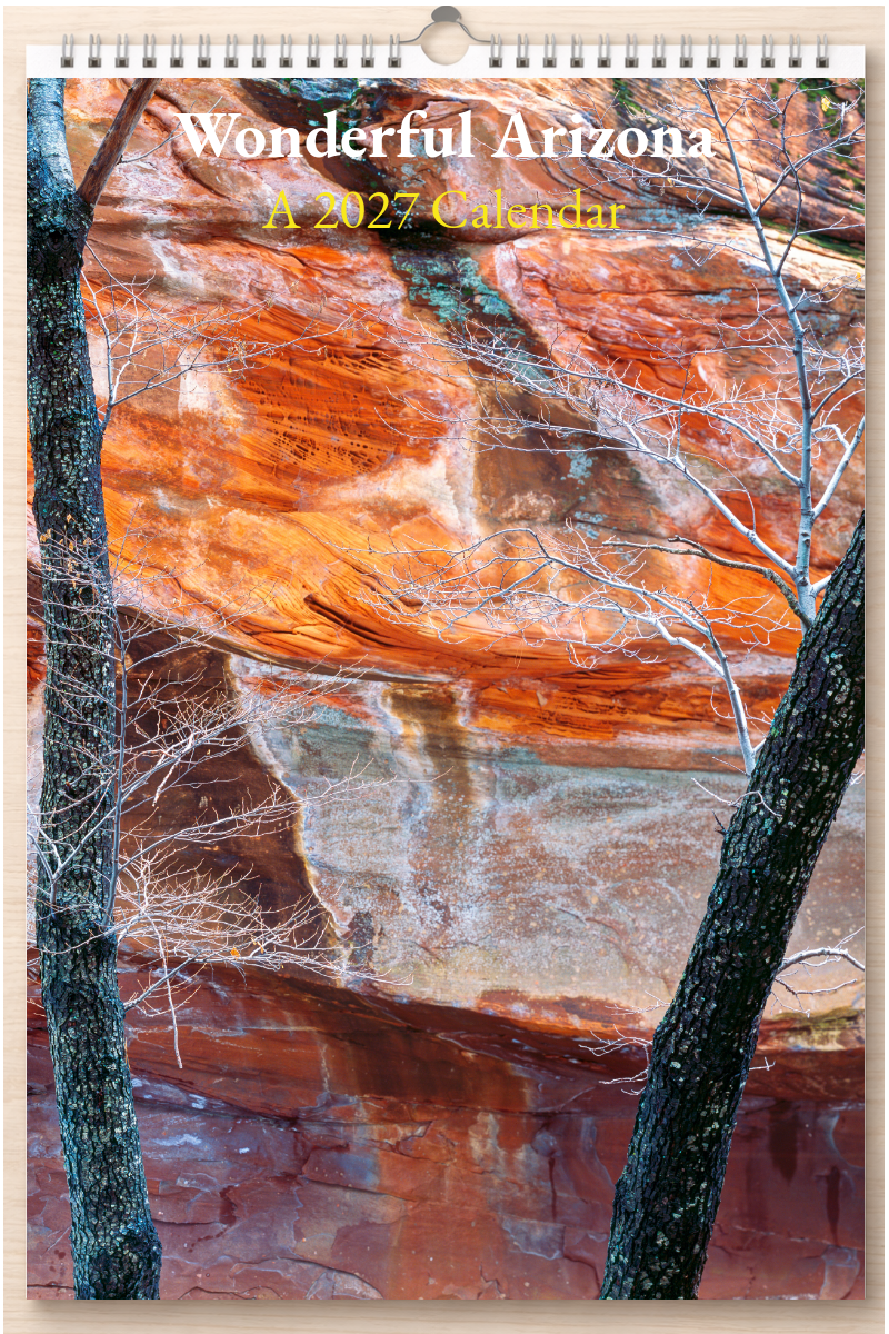 Wonderful Arizona: A 2027 Calendar