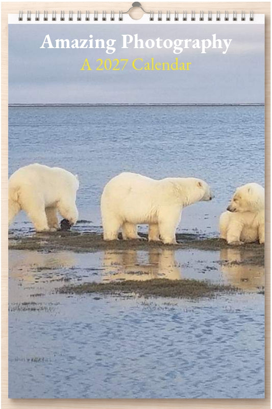 Amazing Photography: A 2027 Calendar